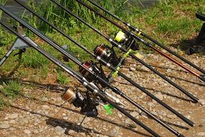 pescuit la dunare - dsc6436001.JPG